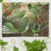 Illustratie Ernst Haeckel Hummingbird Theedoek (Gevouwen)