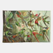 Illustratie Ernst Haeckel Hummingbird Theedoek (Horizontaal)