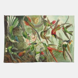 Illustratie Ernst Haeckel Hummingbird Theedoek