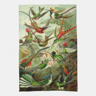 Illustratie Ernst Haeckel Hummingbird Theedoek