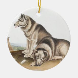Illustratie Esquimaux Dog (Canis familiaris) Keramisch Ornament