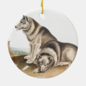 Illustratie Esquimaux Dog (Canis familiaris) Keramisch Ornament (Achterkant)