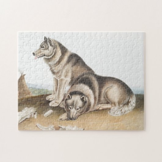 Illustratie Esquimaux Dog (Canis familiaris) Legpuzzel (Horizontaal)