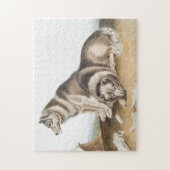 Illustratie Esquimaux Dog (Canis familiaris) Legpuzzel (Verticaal)