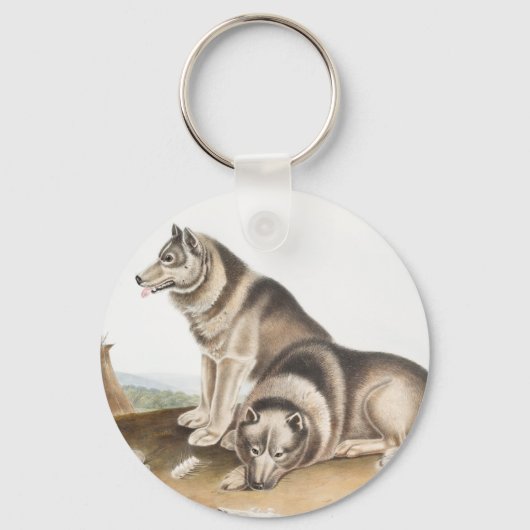 Illustratie Esquimaux Dog (Canis familiaris) Sleutelhanger (Voorkant)