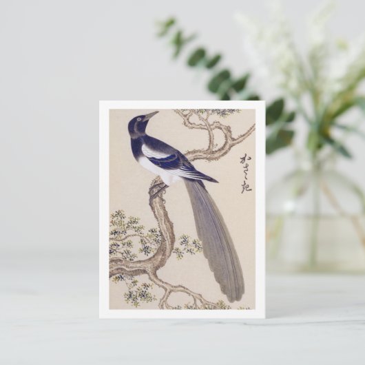  illustratie: Euraziatische ekster Briefkaart (Staand voorkant)