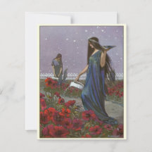  illustratie Fairy Maidens bij nacht