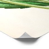  illustratie "Flambeau Dahlia" Poster (Hoek)