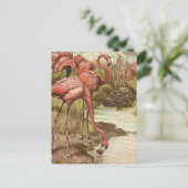  illustratie Flamingo Briefkaart (Staand voorkant)