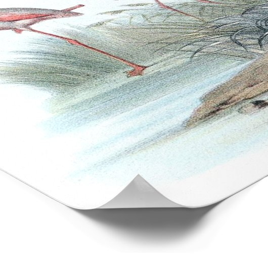  illustratie Flamingo Poster (Hoek)