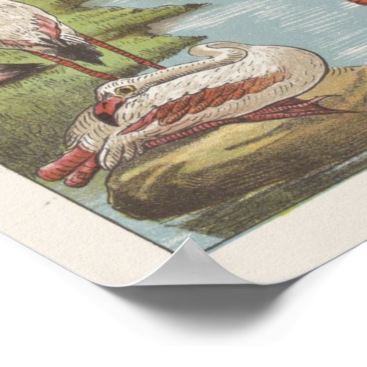  illustratie Flamingo Poster (Hoek)