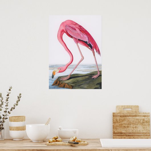 illustratie Flamingo Poster (Keuken)
