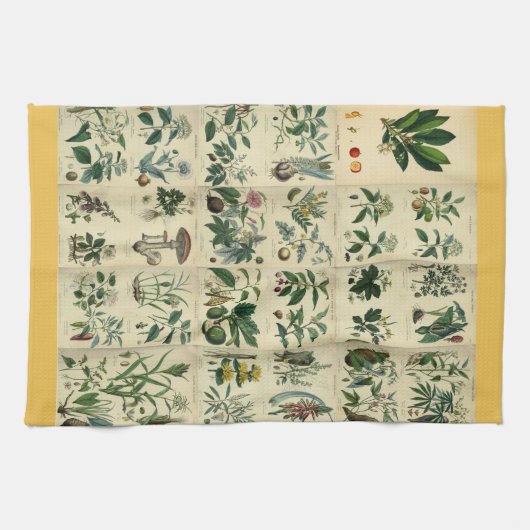 Illustratie Flora Theedoek (Horizontaal)