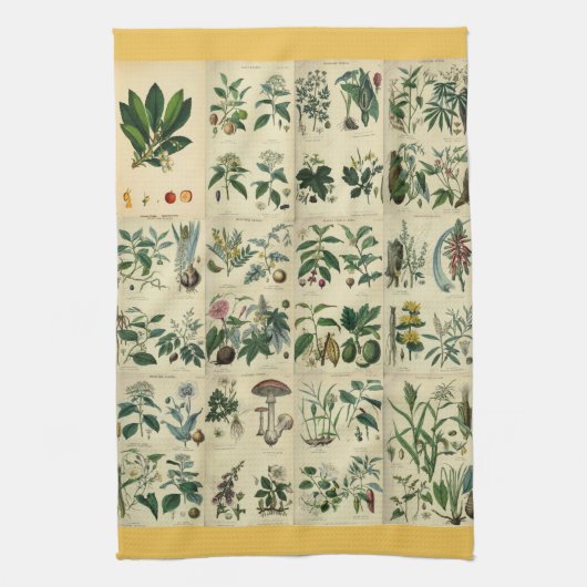 Illustratie Flora Theedoek (Verticaal)