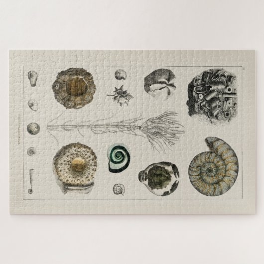 ILLUSTRATIE FOSSILS CHART JIGSAW PUZZLE LEGPUZZEL (Horizontaal)