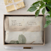 Illustratie frambozen uit USDA 1908 Tissuepapier (Geschenk)