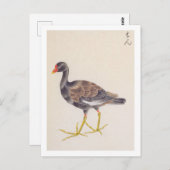  illustratie: Gemeenschappelijke moorhen Briefkaart (Voorkant / Achterkant)