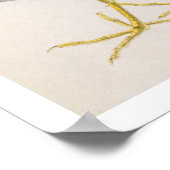  illustratie: Gemeenschappelijke moorhen Poster (Hoek)