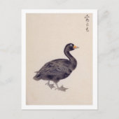  illustratie: Gemeenschappelijke scooter Briefkaart (Voorkant)