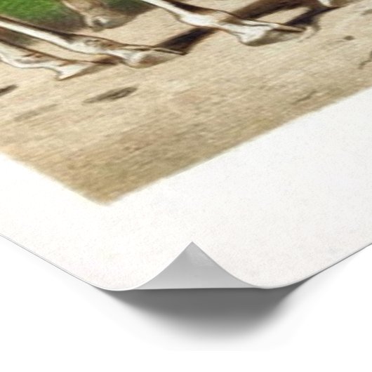 Illustratie  Giraffe Afdrukken/Poster Poster (Hoek)