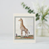 Illustratie Giraffe Briefkaart (Staand voorkant)