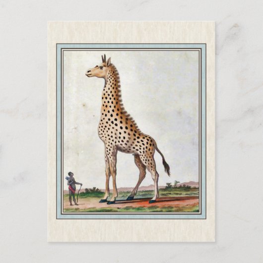 Illustratie Giraffe Briefkaart (Voorkant)