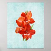 Illustratie Gladiolus over oude denim Poster (Voorkant)