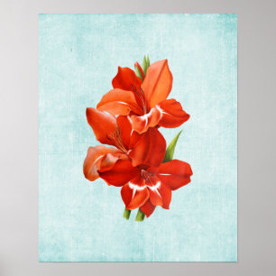 Illustratie Gladiolus over oude denim Poster