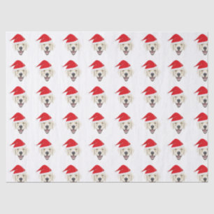 Illustratie golden recovery met rode Santa hat Tissuepapier