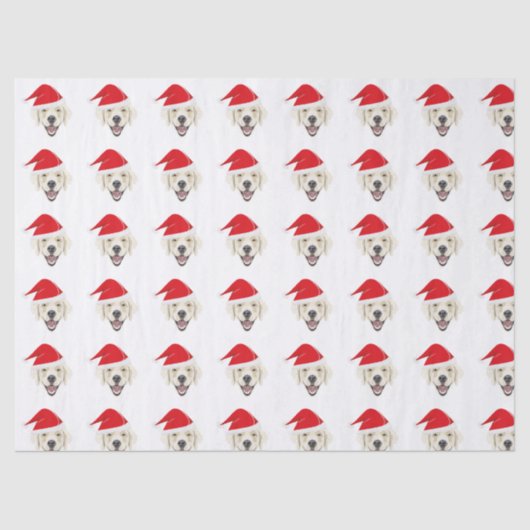 Illustratie golden recovery met rode Santa hat Tissuepapier (Voorkant)