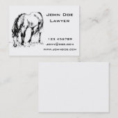 Illustratie graaspaarden visitekaartje (Voorkant / Achterkant)