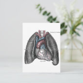  illustratie Gray's Anatomy Heart Lungs Briefkaart (Staand voorkant)