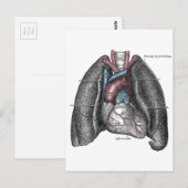  illustratie Gray's Anatomy Heart Lungs Briefkaart (Voorkant / Achterkant)