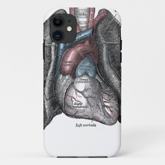 illustratie Gray's Anatomy Heart Lungs Case-Mate iPhone Case (Achterkant)