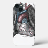  illustratie Gray's Anatomy Heart Lungs Case-Mate iPhone Case (Achterkant)