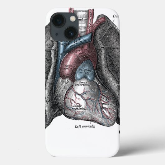  illustratie Gray's Anatomy Heart Lungs Case-Mate iPhone Case (Achterkant)