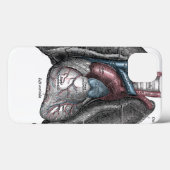  illustratie Gray's Anatomy Heart Lungs Case-Mate iPhone Case (Achterkant (horizontaal))