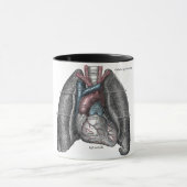  illustratie Gray's Anatomy Heart Lungs Mok (Midden)