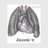  illustratie Gray's Anatomy Heart Lungs Sticker (Vel)