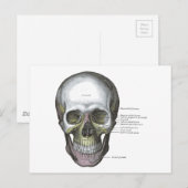  illustratie Gray's Anatomy Skull Briefkaart (Voorkant / Achterkant)