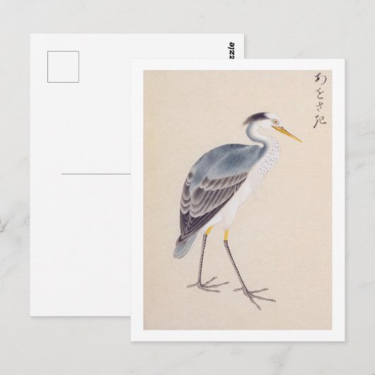  illustratie: Grijze reiger Briefkaart (Voorkant / Achterkant)
