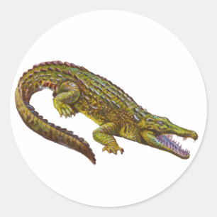 illustratie groene krokodil ronde sticker