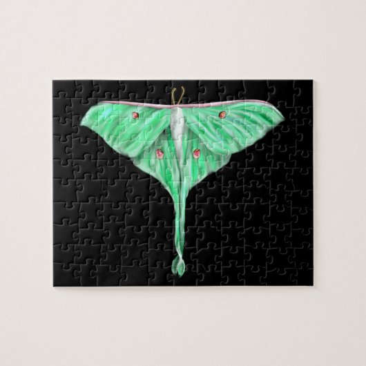 Illustratie: Groene Lunar Moth Legpuzzel (Horizontaal)