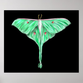 Illustratie: Groene Lunar Moth Poster