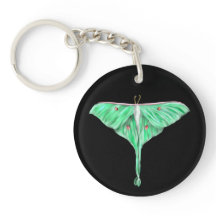 Illustratie: Groene Lunar Moth