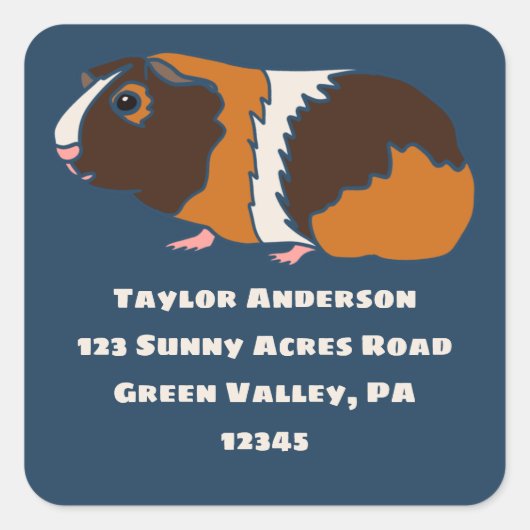 Illustratie Guinee-Varkens Rendelabel Vierkante Sticker (Voorkant)