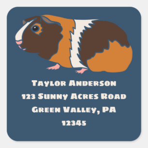 Illustratie Guinee-Varkens Rendelabel Vierkante Sticker