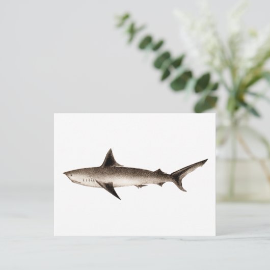Illustratie  haaien - Sjabloon Retro Sharks Briefkaart (Staand voorkant)
