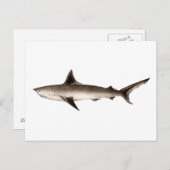 Illustratie  haaien - Sjabloon Retro Sharks Briefkaart (Voorkant / Achterkant)
