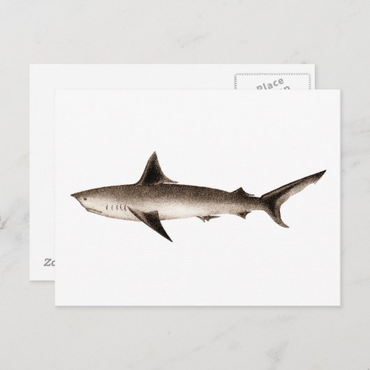 Illustratie  haaien - Sjabloon Retro Sharks Briefkaart (Voorkant / Achterkant)